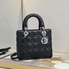 Christian Dior Top Handle Bags